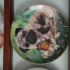 Limited edition collectors plate